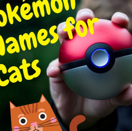 Kaķi - 150 Pokémon kaķu vārdi ar segvārdiem