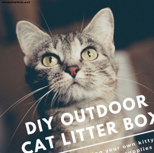 Πώς να χτίσετε ένα εξωτερικό κουτί σκουπιδιών γάτας