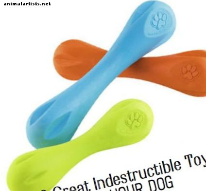 Perros - 10 juguetes para perros más indestructibles