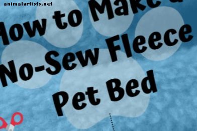 DIY: كيفية جعل الصوف لا خياطة سرير الحيوانات الأليفة