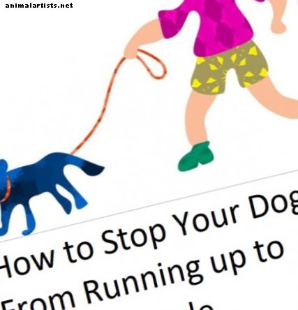मैं अपने कुत्ते को लोगों को रोकने से कैसे रोक सकता हूं?