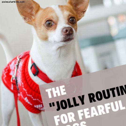 Palīdziet savam baiļu sunim, izmantojot apmācības metodi "Jolly Routine"