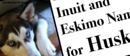 Hunde - Eskimo und Inuit Namen für Huskies und andere Hunderassen
