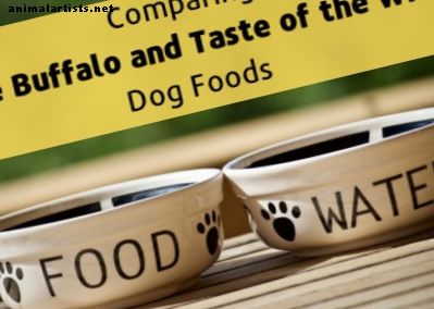 طعام الكلب الصحي: الجاموس الأزرق مقابل طعم الحياة البرية - الكلاب