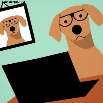 Más de 50 nombres de perros científicos para cachorros inteligentes y nerds con descripciones y consejos