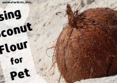 पालतू जानवरों के लिए नारियल के आटे के साथ खाना पकाने के फायदे