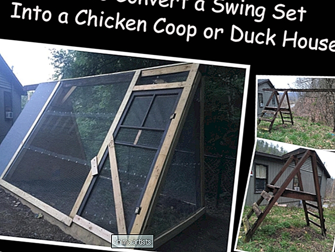 Kako pretvoriti ljuljačku u kokošinjac ili kućicu za patke - Farme-Životinje-Kao Kućni Ljubimci