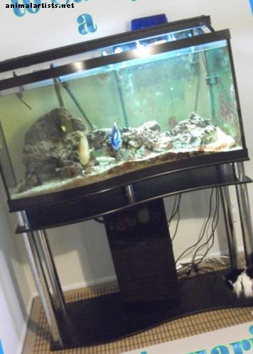 Ribe i akvariji - Kako premjestiti prazan stakleni akvarij veličine 75 litara