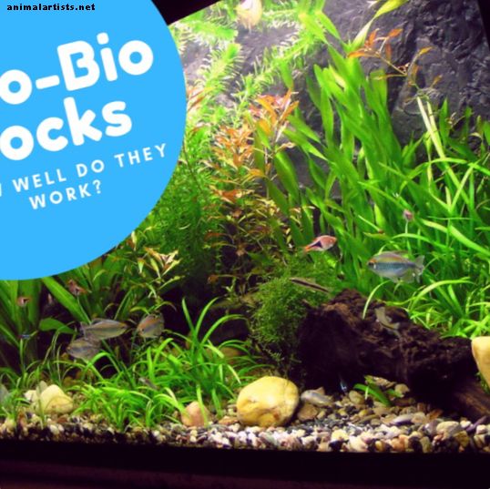Ako zlepšujú bloky Eco-Bio kvalitu vody v akváriu?