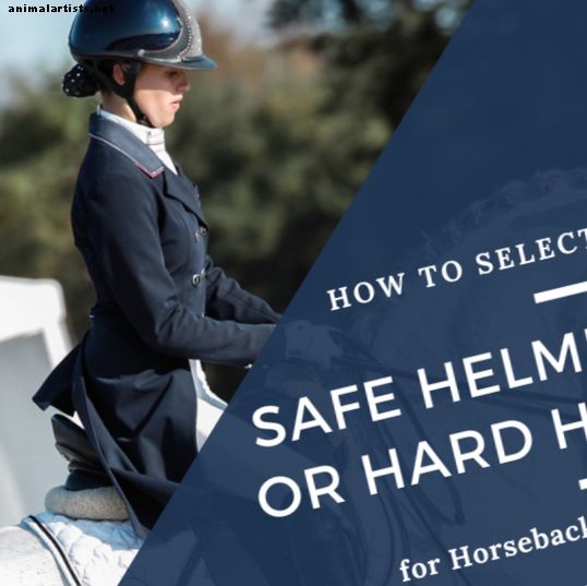 Как да изберете безопасна каска или твърда шапка за конна езда