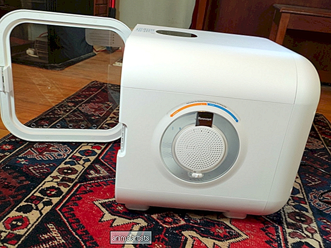 Преглед на автоматичната сушилня за домашни любимци Homerunpet Drybo Plus - Разни