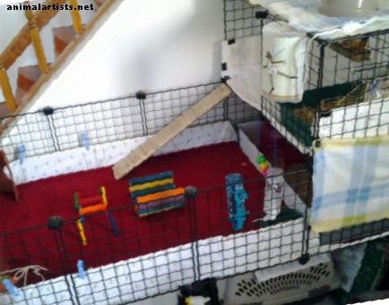 Construya una jaula de conejillo de Indias con cubos y plástico corrugado (C&C)