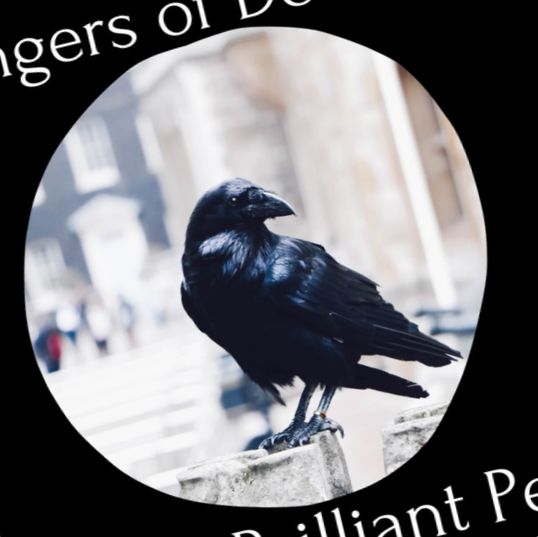 Praznovjerstvo crnih vrana (Što sam naučio kada brinem o vrani)